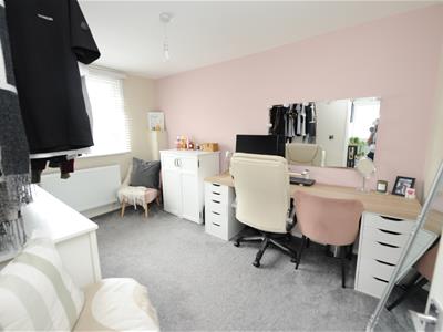 Picture 15